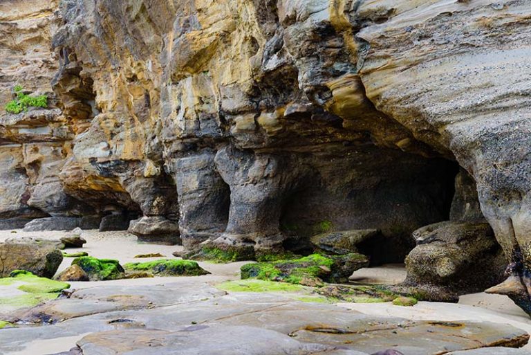 Caves Beach Beachmap