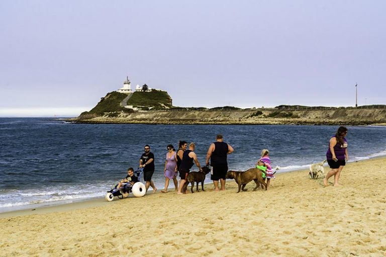 Dog Beach Newcastle Beachmap